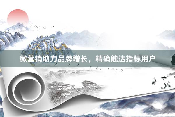 微营销助力品牌增长，精确触达指标用户