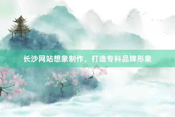 长沙网站想象制作，打造专科品牌形象