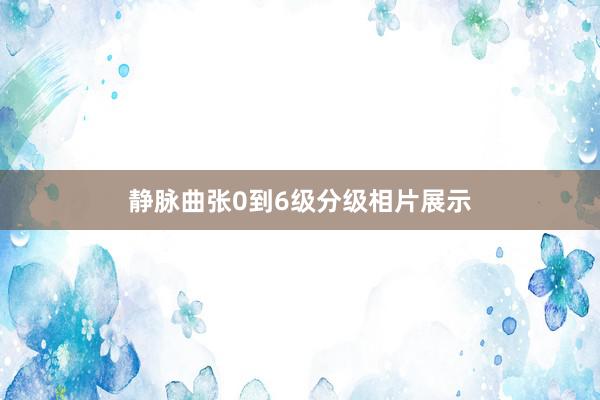 静脉曲张0到6级分级相片展示