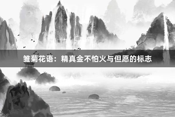 雏菊花语：精真金不怕火与但愿的标志